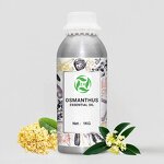 Witch Hazel Oil - 100% Pure Therapeutic Grade for Skincare