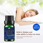 Essential Oil Set - 2025 Factory Bulk 14pcs Premium for Diffuser Massage DIY Candle