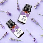 Rose Hip Essential Oil - Wholesale Organic Pure for Body Care Massage