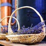 Mosquito Repellent Spray - 60ML for Body Indoor Outdoor Bed Bug Natural Essential Oil