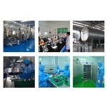 Ligusticum Chuanxiong Oil - 100% Natural for Bulk Supply