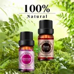 Essential Oil Set - 6x10ml 100% Pure Natural with Free Diffuser Retail