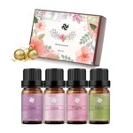 Essential Oil Set - Top 6 Geranium Tea Tree Orange for Diffuser Home Fragrance Massage