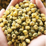 Dried Chrysanthemum Tea Manufacturer - Natural Bulk Good Taste Chrysanthemum Buds