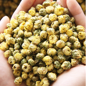 Dried Chrysanthemum Tea Manufacturer - Natural Bulk Good Taste Chrysanthemum Buds