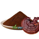 Reishi Mushroom Extract Powder Manufacturer - Polysaccharides 10% 20% 30% Lingzhi