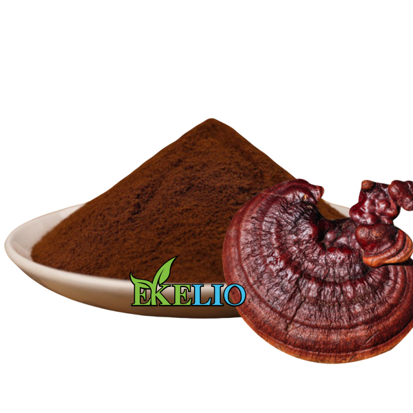Reishi Mushroom Extract Powder Manufacturer - Polysaccharides 10% 20% 30% Lingzhi