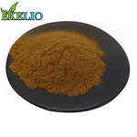 Green Tea Extract Powder Manufacturer - Natural L-theanine Bulk Raw 10:1 50:1