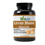 Lion's Mane Extract Powder Manufacturer - Custom Packaging Mushroom Extract Powder