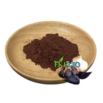 Acmella Oleracea Extract Powder Manufacturer - High Quality Spilanthes Acmella Flower Extract