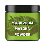 Mushroom Extract Powder Manufacturer - Bulk Blend Lions Mane, Reishi, Cordyceps, Chaga, Shiitake