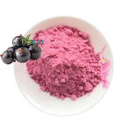 Chokeberry Berry Extract Powder Manufacturer - Wild Aronia Cherry Bulk Aronia Melanocarpa