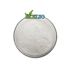Alpha-Arbutin Powder Manufacturer - Pure 99% Herbal Extract for Skin Whitening