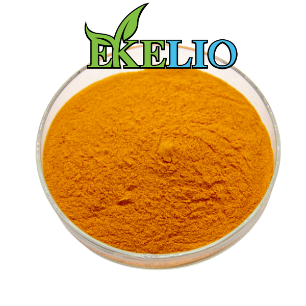 Carrot Extract Powder Manufacturer - Natural 10% 20% 30% Beta Carotene Food Grade