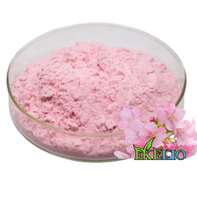 Sakura Extract Powder Manufacturer - Natural Cherry Blossom Sakura Flower