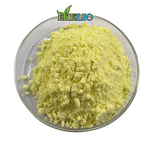 Curcumin Powder Manufacturer - Water Soluble Supplement Turmeric Root Extract 95%