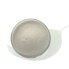 Silk Powder Manufacturer - High Quality Silk Sericin Skin Care Protein Peptide