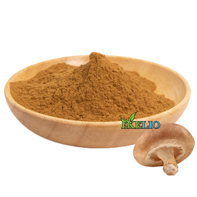 Shiitake Mushroom Powder Manufacturer - Lentinus Edodes Extract Supply Polysaccharides