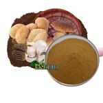 Maitake Mushroom Extract Powder Manufacturer - Food Grade Grifola Frondosa Bulk