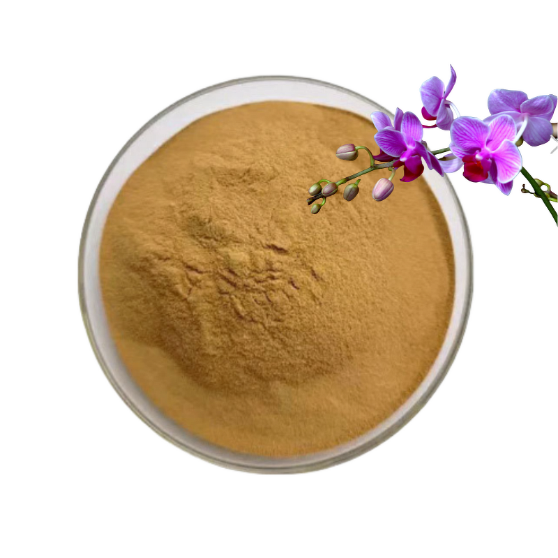 Orchid Extract Powder Manufacturer - Plant Extract Salep Orchid Flower Powder