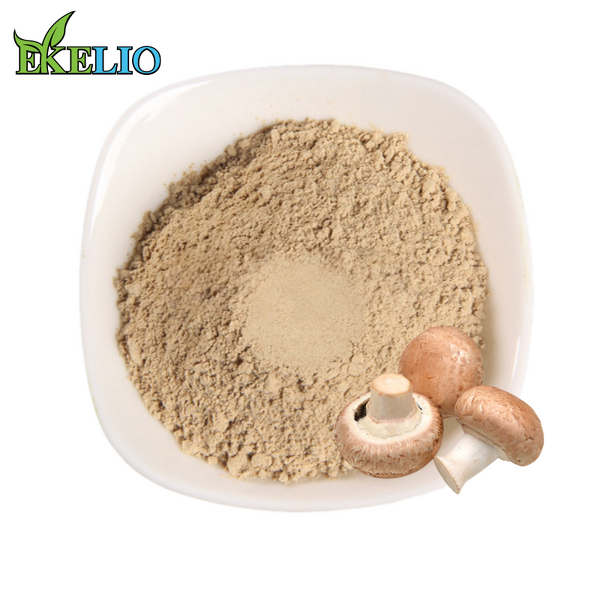 Shiitake Mushroom Powder Manufacturer - Bulk AHCC 20% to 50% Extract Polysaccharide