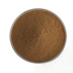 Acmella Oleracea Extract Powder Manufacturer - High Quality Spilanthes Acmella Flower Extract