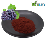 Red Beetroot Extract Powder Manufacturer - Super Food Spray Dried Juice Pigment Color 10:1 20:1