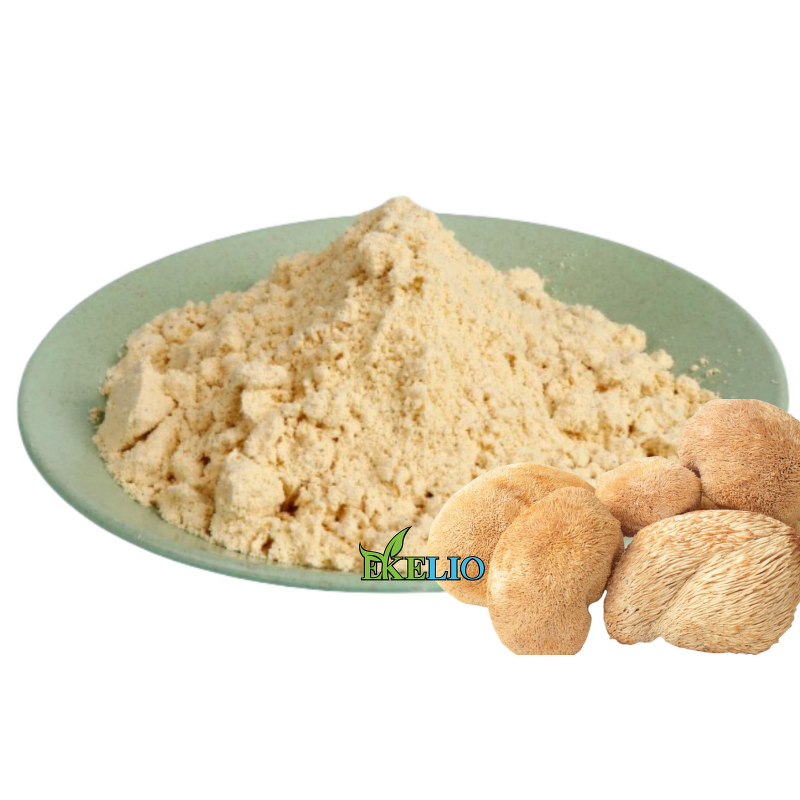 Lion's Mane Extract Powder Manufacturer - Custom Packaging Mushroom Extract Powder