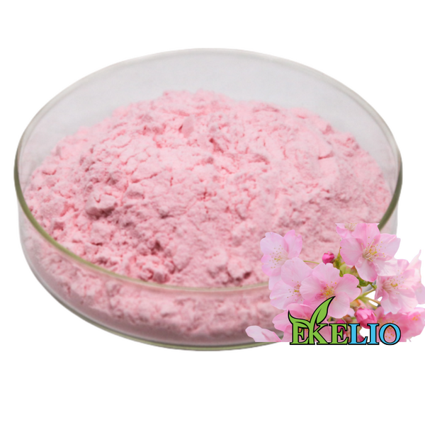 Sakura Flower Powder Manufacturer - Water Soluble Food Grade Cherry Blossom Extract