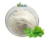 SoyBean Extract Powder Manufacturer - Food Grade Soy Oligopeptide Soy Peptide
