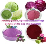 Spirulina Phycocyanin Manufacturer - Best Price Tablets with Chlorella Powder