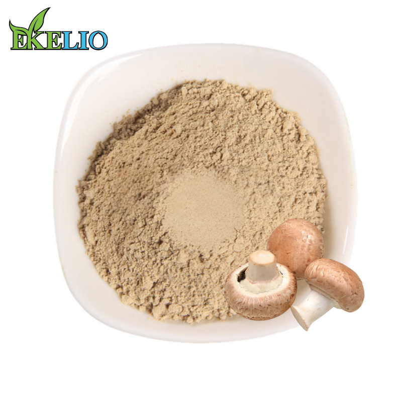 Shiitake Mushroom Extract Powder Manufacturer - Bulk Sale Polysaccharides Powder