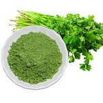 Kale Juice Powder Manufacturer - Vegetable Food Green Organic with Barley Grass
