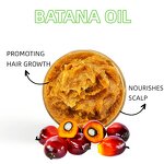 Batana Oil Manufacturer - In Stock Private Label 120g Raw 100% Honduras Organic Hair Growth