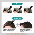 Hair Dye Pen Manufacturer - 20ML Private Label Lasting Hold Natural Herbal Vegan Cover Gray Hair