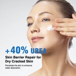 Foot Cream Manufacturer - Anti-Cracking Urea 40% - Dry Cracked Skin Callus Remover Hand Foot Care OEM