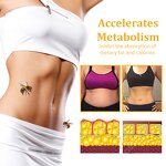 Weight Loss Serum Manufacturer - Bee Venom Intestinal Detox - Belly Button Natural Body Care OEM Private Label