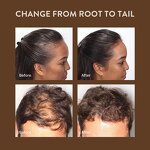 Scalp Oil Manufacturer - Organic Essential Oil - Hair Growth Nourishing Skincare Products Private Label OEM