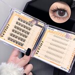 FALSE EYELASH