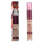 Concealer Manufacturer - 2 in 1 Waterproof Women Natural Face Long-lasting Private Label High Covering
