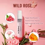 Perfume Manufacturer - Wholesale Long-lasting Women's Portable Floral Sample Original High Quality Body Spray