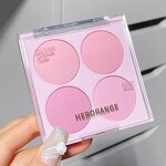 Blush Powder Palette Manufacturer - High Quality Colorful Sweet 4 Color Natural Matte White Cheek