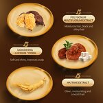 Herb Shampoo Manufacturer - Free Sample 200ml Polygonum Multiflorum Refreshing Gel Tea Tree Oil Anti-Alopecia Moisturizes