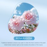 Facial Mist Toner Manufacturer - Rose Hydrating 200ml Soothing Calming Sensitive Skin OEM Skin Care Spray