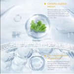 Face Toner Manufacturer - Natural Rice Nourishing Whitening 300ml Vitamin C Glycerin Green Tea Skin Care Spray