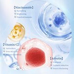 Face Cream Manufacturer - Organic Vegan Whitening Cream Vitamin C E Hyaluronic Acid Wrinkle Removal Dark Spot Improvement