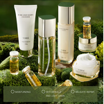 Skincare Gift Set Manufacturer - Korean Anti-Wrinkle 9-Piece Black Truffle Lightening Serum Salicylic Acid Eye Cream Hyaluronic Acid