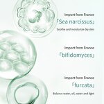 Face Mask Manufacturer - Korea Skincare Gold Sheet Moisturizing Whitening Natural Organic Honey Cotton Collagen Vitamin C Retinol