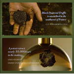 Skincare Gift Set Manufacturer - Korean Anti-Wrinkle 9-Piece Black Truffle Lightening Serum Salicylic Acid Eye Cream Hyaluronic Acid