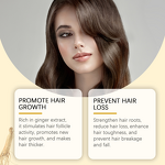 Hair Straightener Spray Manufacturer - Professional Protein Heat Protection Leave-In Hair Protect Spray